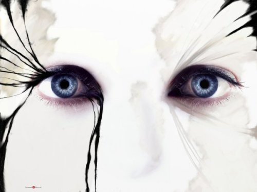 24151_334494224080_534264080_3